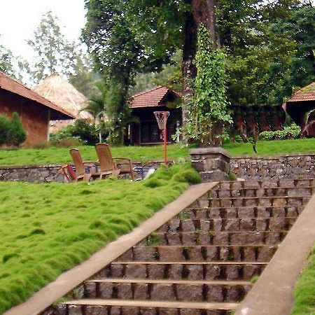 Hotel Misty Woods 다람샬라 외부 사진